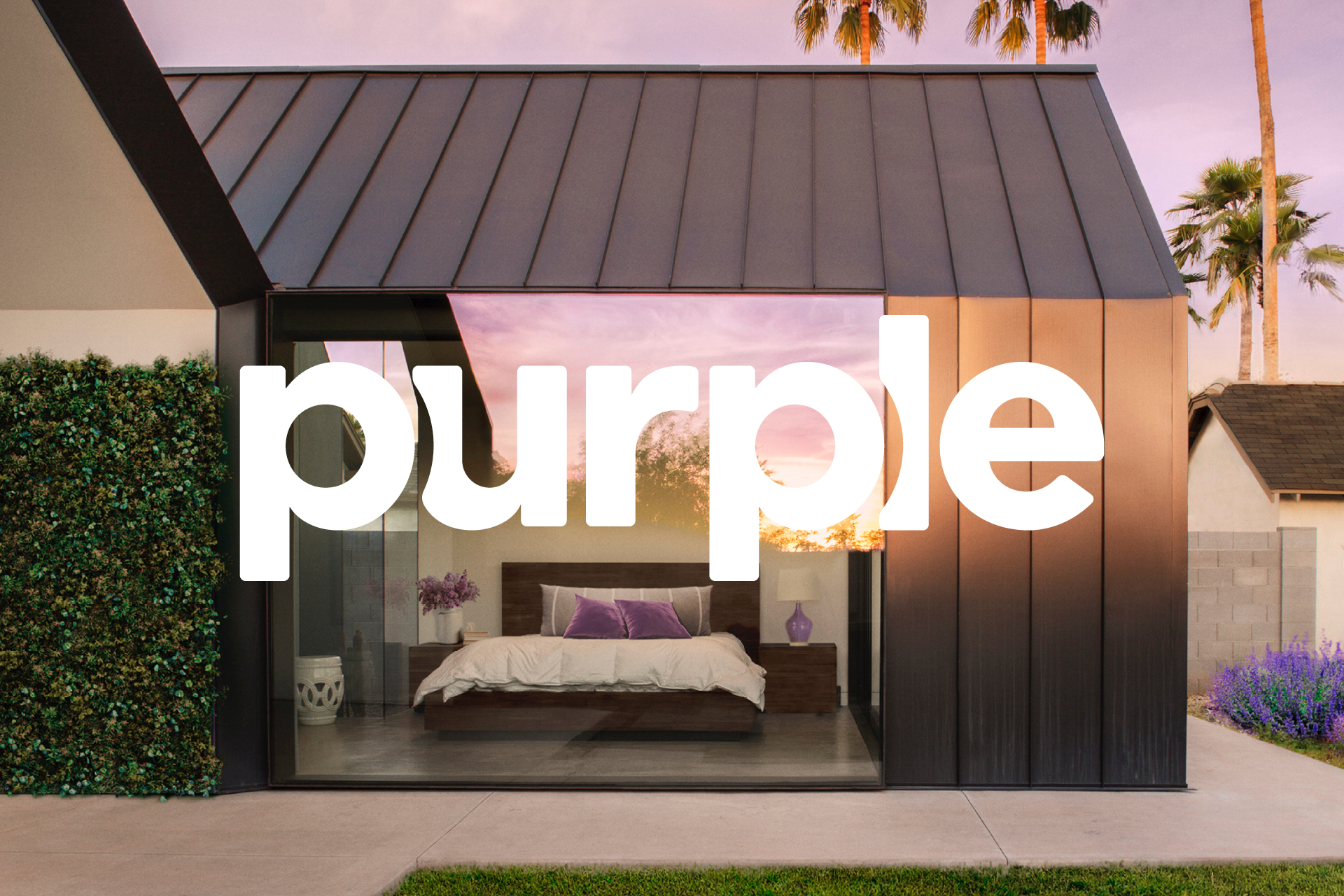 Purple_27-1